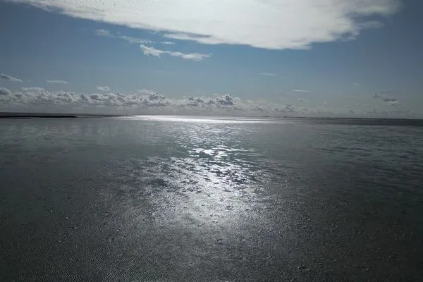 Landschaft  Hus op de Wurth Ferienwohnung seaside sixteen