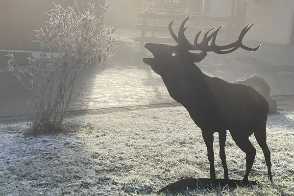 Dekoratives Detail  Eulennest - Feriendorf Via Claudia Haus 81