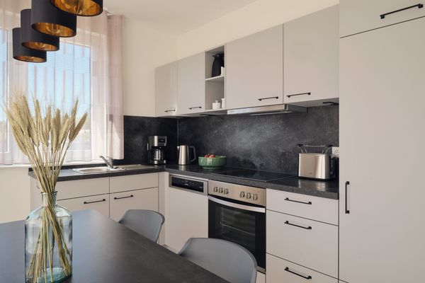 Apartment B7 „Wellness, Fitness & Spieleraum“ im Pine Hill Resort Zirchow - Küche / Küchenzeile