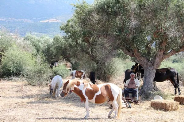 Landschaft bei Kyparissia