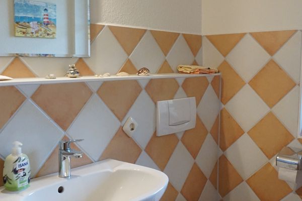  Fernsicht Welt / Vollerwiek - Gäste WC