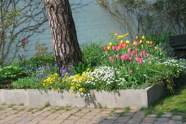 Dekoratives Detail  Villa Bismarckshöhe, Whg. Clara