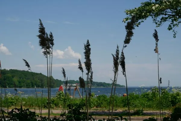Strand  WL - Lieblingsplatz