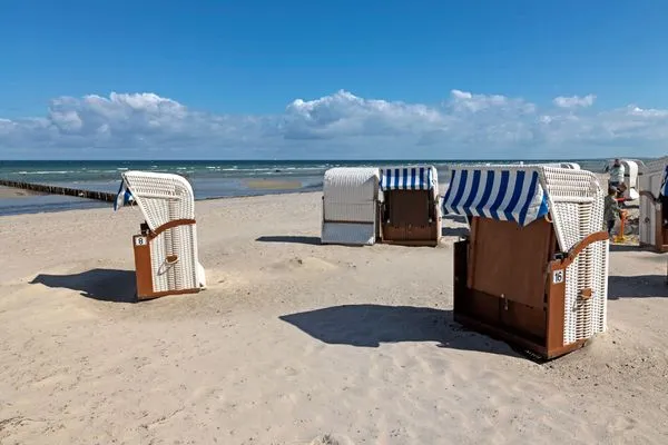 Beach Haus Südwester Herzmuschel
