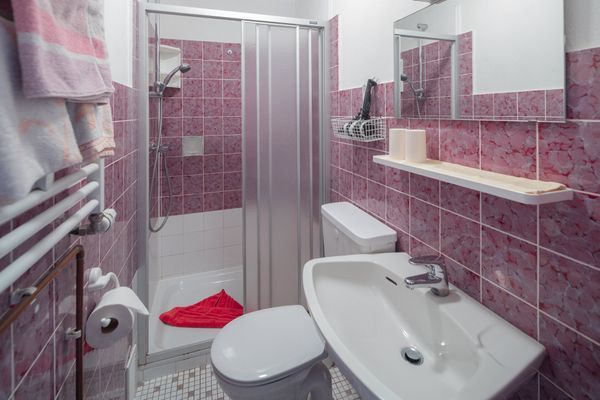  Haus Daubert Wohnung 2  - Badezimmer