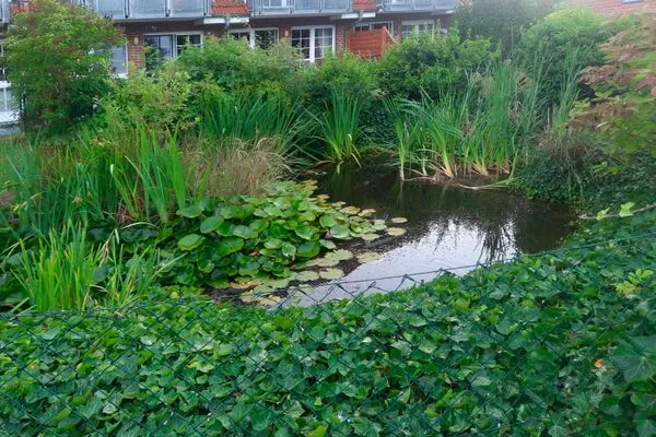 Garten Landhaus am Meer Friesenstübchen