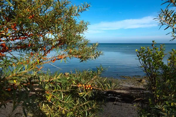 Strand Landhaus am Meer Friesenstübchen