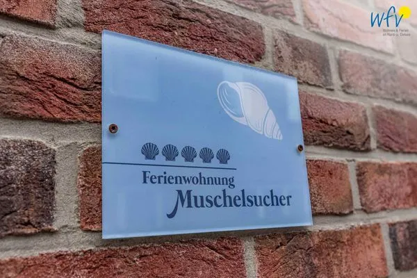 Dekoratives Detail Haus Inseltraum Borkum Ferienwohnung Muschelsucher