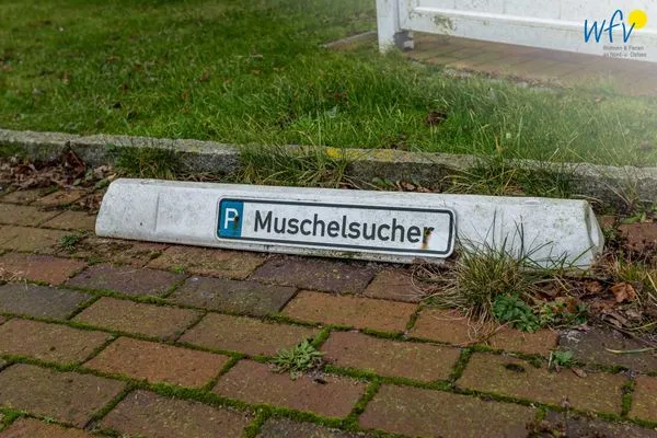 Dekoratives Detail Haus Inseltraum Borkum Ferienwohnung Muschelsucher