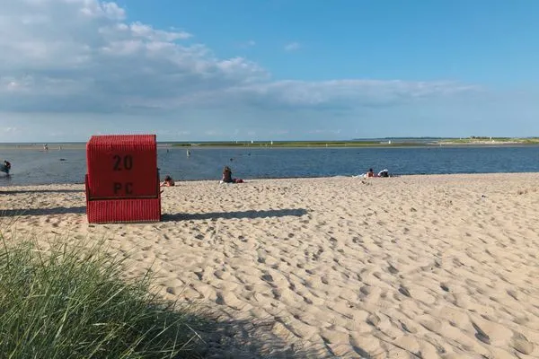 Beach Gollwitzer Ferienidyll A07/19c Sturmmöwe