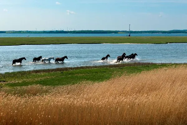 Scenery Haus Sonnenschein Sommerwiese