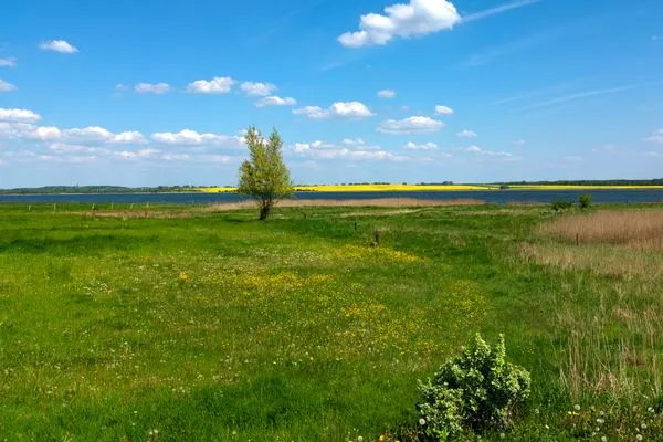 Scenery Haus Sonnenschein Sommerwiese