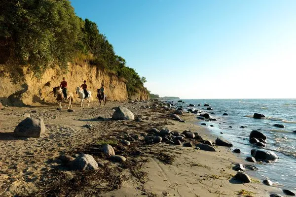 Beach Dänisches Ferienhaus am Salzhaff, Haus Pacific