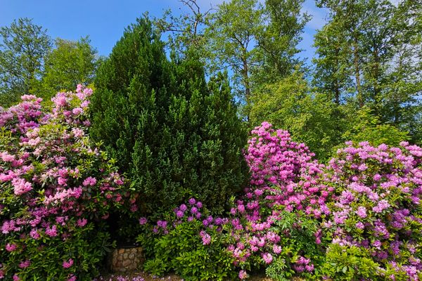  Haus Wellenbär Dorf - 