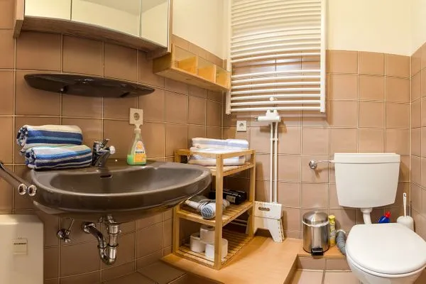 Badezimmer  Zaunköniglich