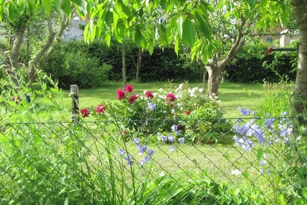 Gartenblick  Calypso