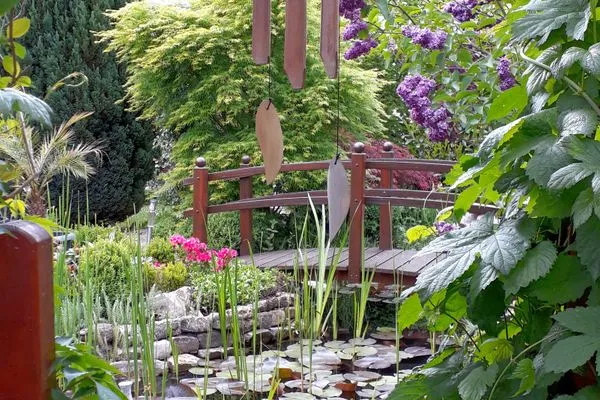 Teich im mit Liebe gestalteten Garten  Ferienwohnung Waldblick