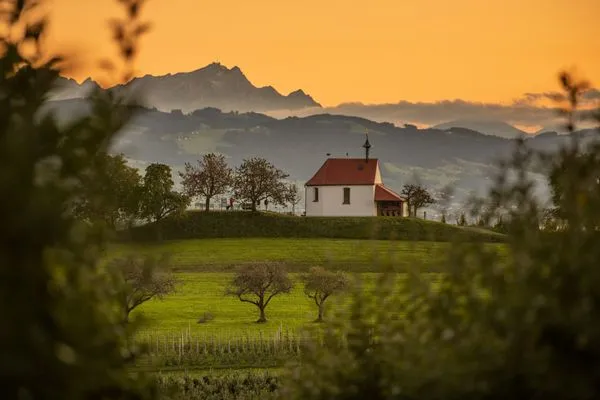  Ferienwohnung Halbinsel52 Wasserburg - Natur