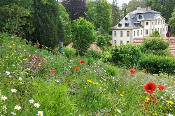 Haus Lindenmühle - zu blühenden Thüringer Wald  Ferienwohnung Teichblick