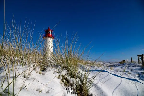 Landschaft Ferienwohnung im Haus Nordland App 105