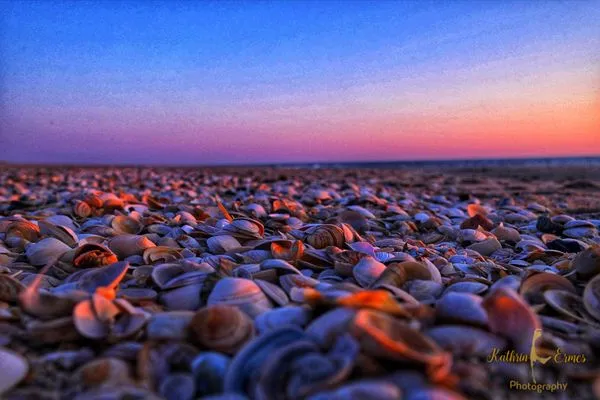 Strand Ferienwohnung im Haus Nordland App 118 (Hund)