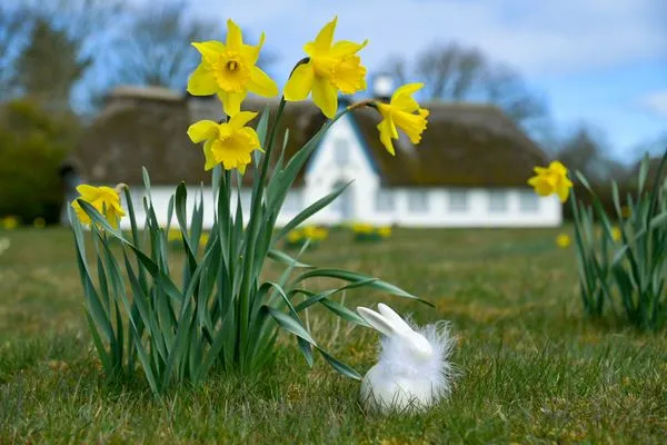 Nachbarschaft Ferienwohnung Brandenburgerstr. 11 - Dühne16 mit kleinem Meerblick