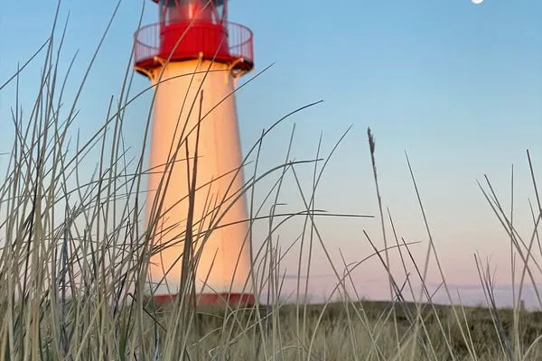 Landschaft Ferienwohnung im Haus Strandstr.22 Strandnah Nordstern - App.72