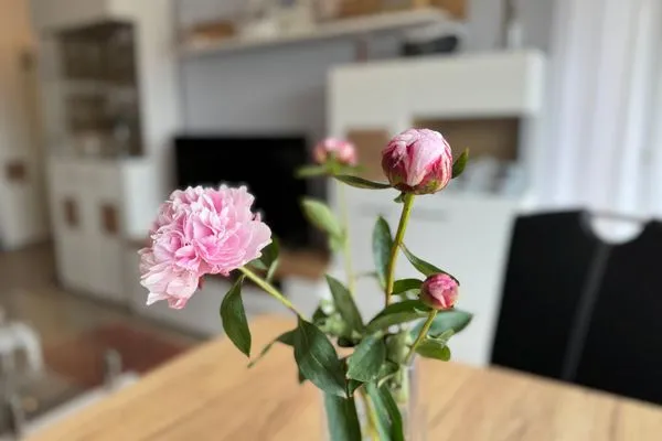 Wohnzimmer Ferienwohnung im Haus Nordland App 30