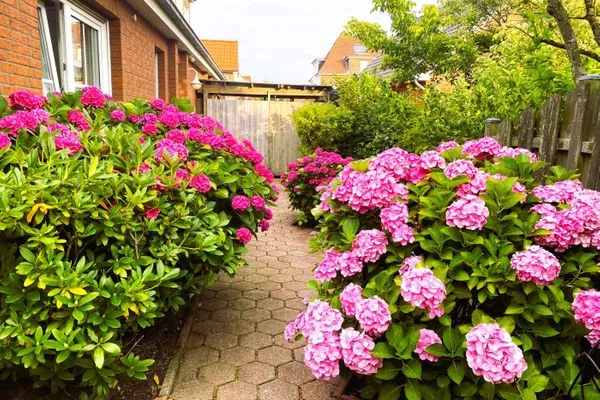   Ferienwohnung Hüsken