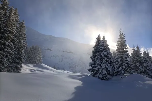 Scenery  Apartment Panoramablick