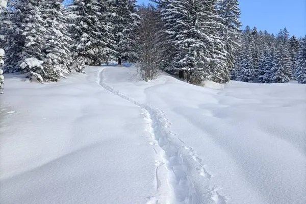 Scenery  Apartment Panoramablick