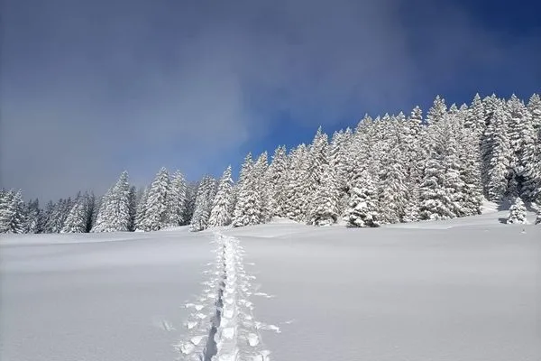 Scenery  Apartment Panoramablick