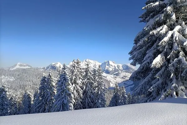 Scenery  Apartment Panoramablick