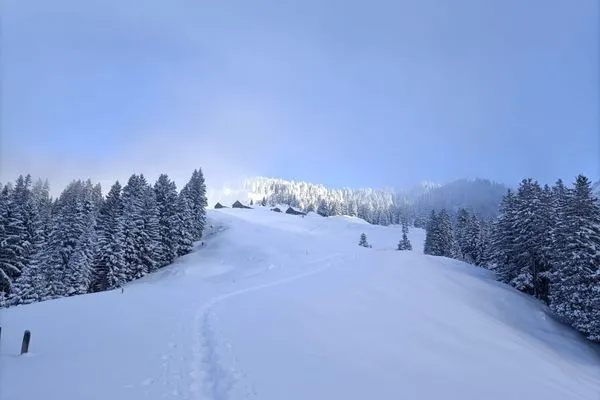 Scenery  Apartment Panoramablick