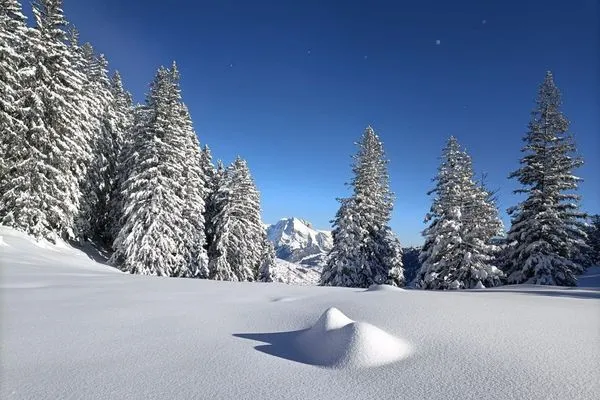 Scenery  Apartment Panoramablick