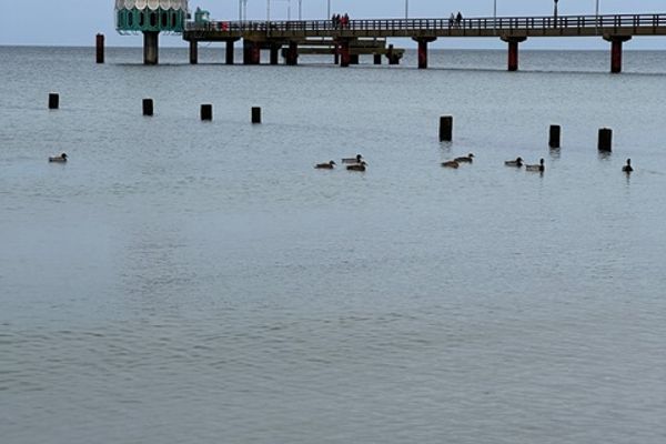 Friedenstraße 5 Wohnung Rotbuche Zingst - Blick auf Sehenswürdigkeit