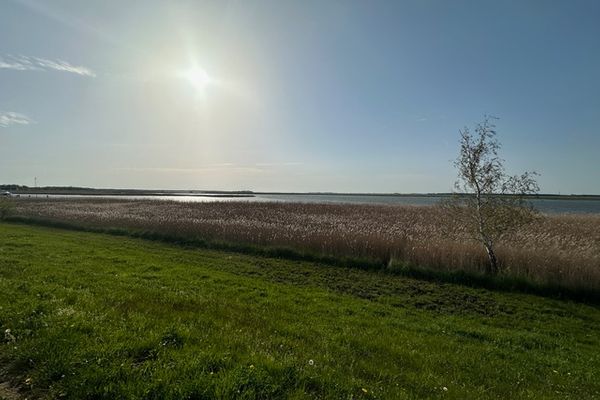  Friedenstraße 5 Wohnung Rotbuche Zingst - Blick auf Sehenswürdigkeit