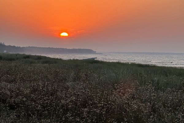  Friedenstraße 5 Wohnung Rotbuche Zingst - Blick auf Sehenswürdigkeit
