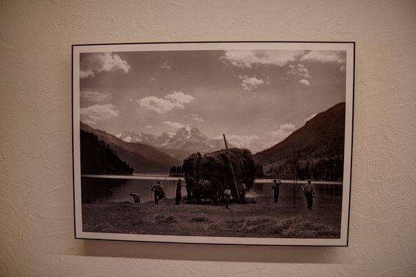 Chesa Munteratsch 1 1/2-Zimmerwohnung 209 Typ D Silvaplana - 