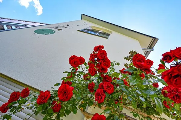 Garten  Apartment mit Balkon 7/5 OG