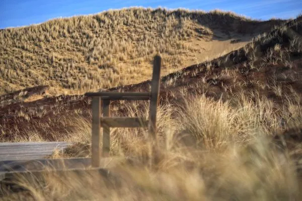 Landschaft Ferienwohnung im Haus Nordland App 75