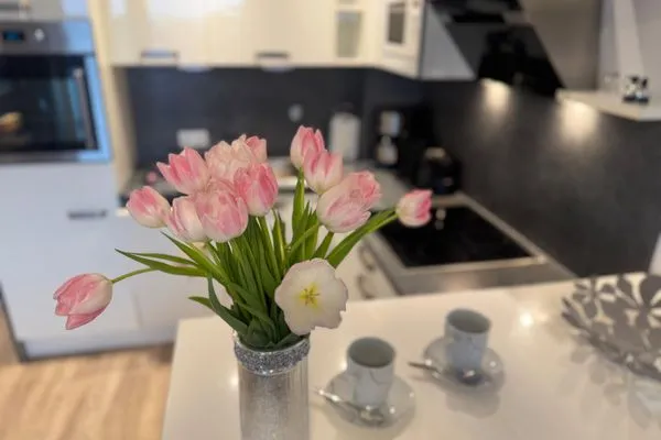 Küche / Küchenzeile Ferienwohnung im Haus Nordland App 97