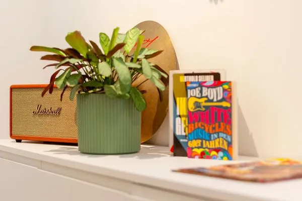 TV / Multimedia Ferienhof Taarstedt Mikkey