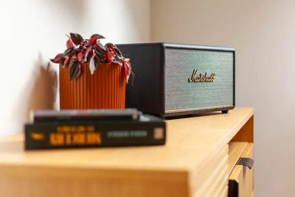 TV / Multimedia Ferienhof Taarstedt Bowie