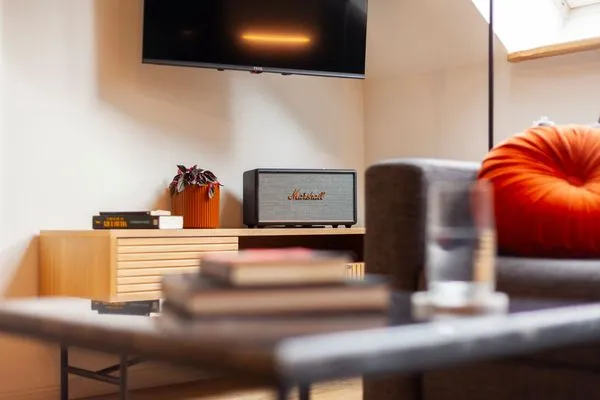 TV / Multimedia Ferienhof Taarstedt Bowie