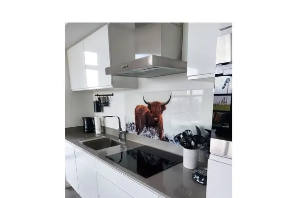  Enkhuizer Strand Chalet Enkhuizer Strandhuis Haus Nr. 206