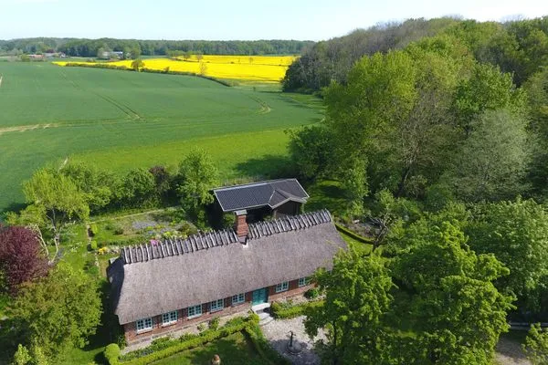Wald, Felder und Wiesen rund um die Reetdachkate  Reetdachkate Fuchsgraben