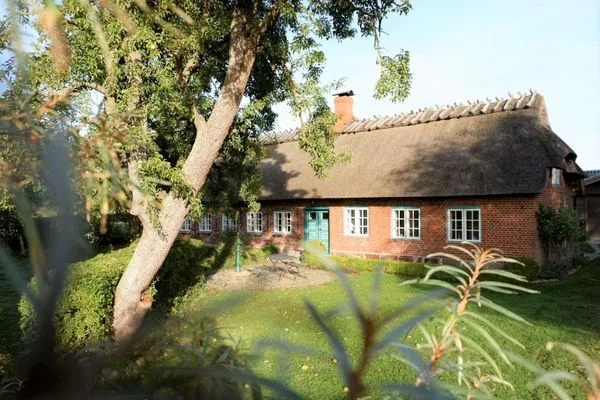 Spätsommer am Fuchsgraben  Reetdachkate Fuchsgraben