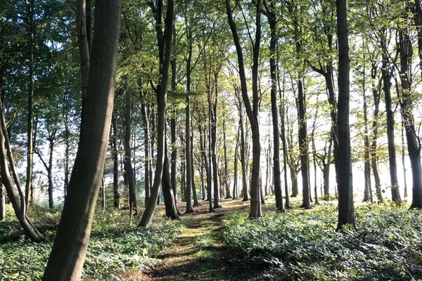 Landschaft  Reethus Koppelkiek