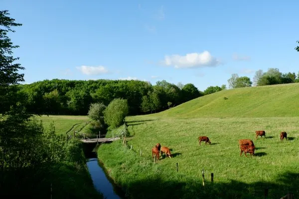 Landschaft  Landhaus Markerup